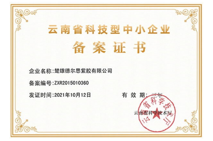 Filing Certificate for Technology-based Small and Medium-sized Enterprises in Yunnan Province